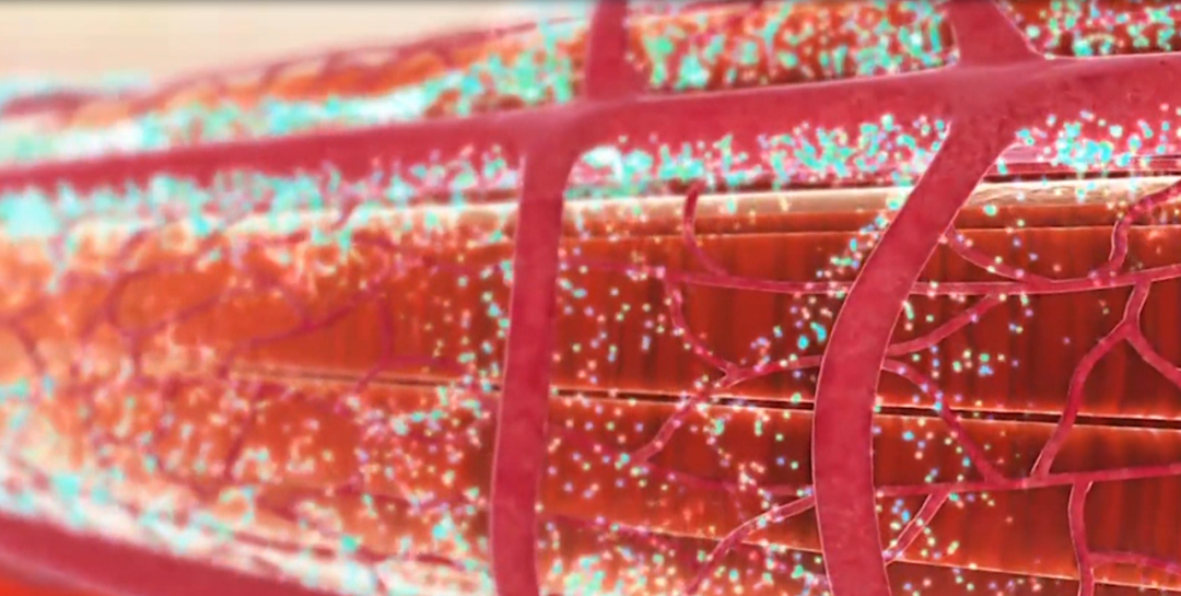 202108201734556178.png 202108201734556178.png