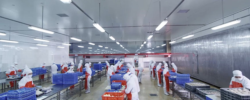 好當家冷凍食品.jpg 好當家冷凍食品.jpg